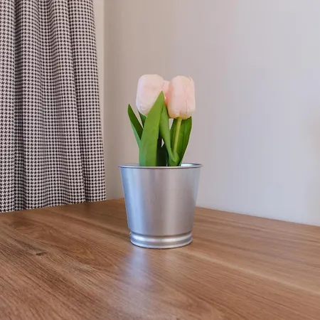 Charm 1-bedroom Apartment